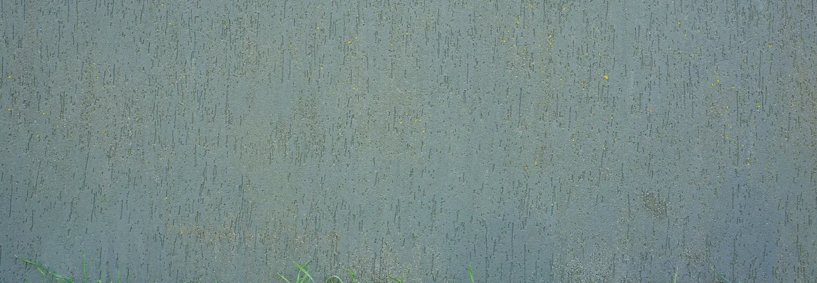 Graue Wand, grüner Grasstreifen